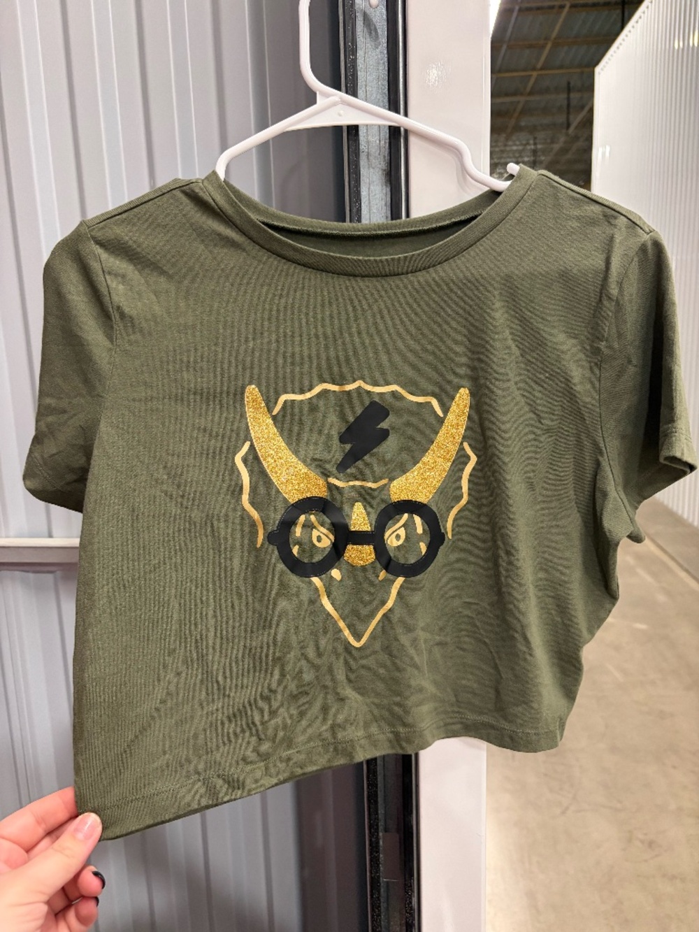 Harry Potter Dinosaur Crop Top, Handmade, Size XL